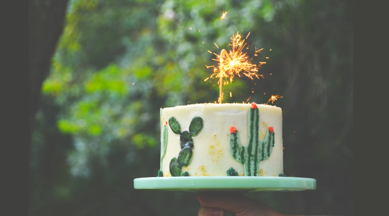 cactus cake for $250000 net worth - we want guac