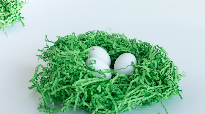 nest egg early retirees