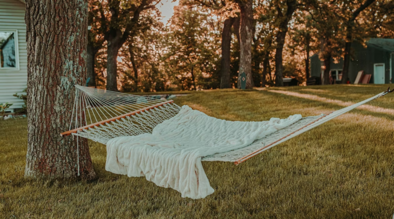 lazy financial independence - photo of a backyard hammock