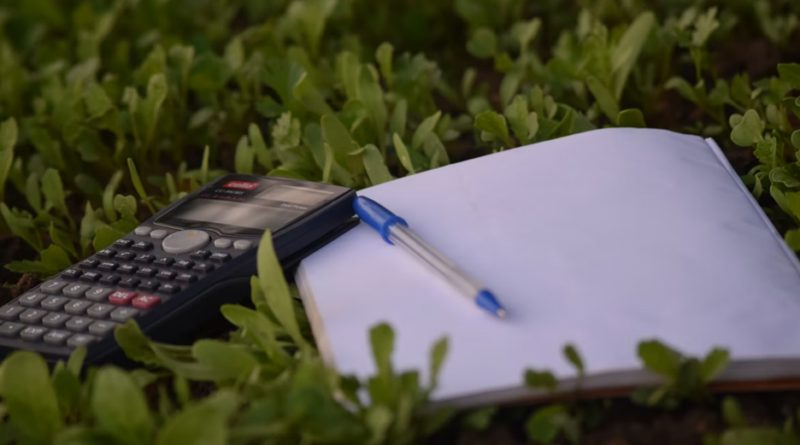 calculator and paper on top of grass in shade to represent how to get started with financial independence