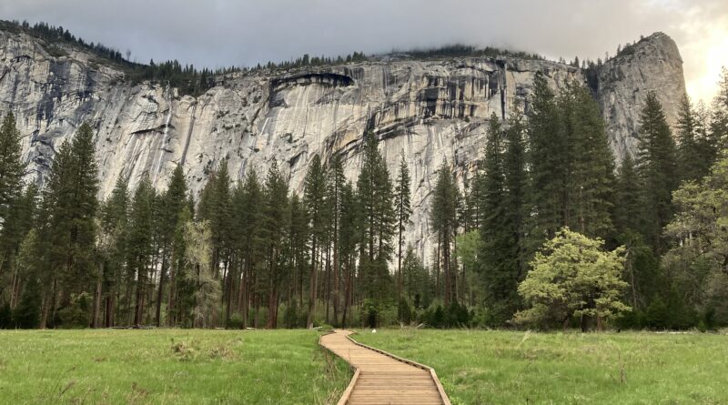 Yosemite National Park shot